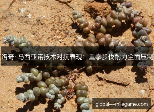 洛奇·马西亚诺技术对抗表现：重拳步伐耐力全面压制